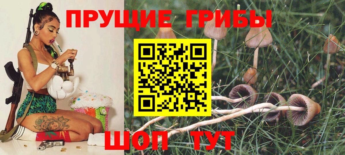 Галлюциногенные грибы мухоморы Ейск